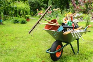 Tuingereedschap voor beginners